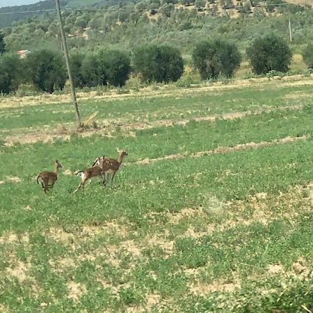 Casetta Tre Poderi Appartamento Papaveri Monte Cucco Eksteriør bilde