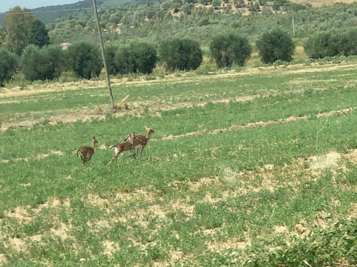 Casetta Tre Poderi Appartamento Papaveri Monte Cucco Eksteriør bilde